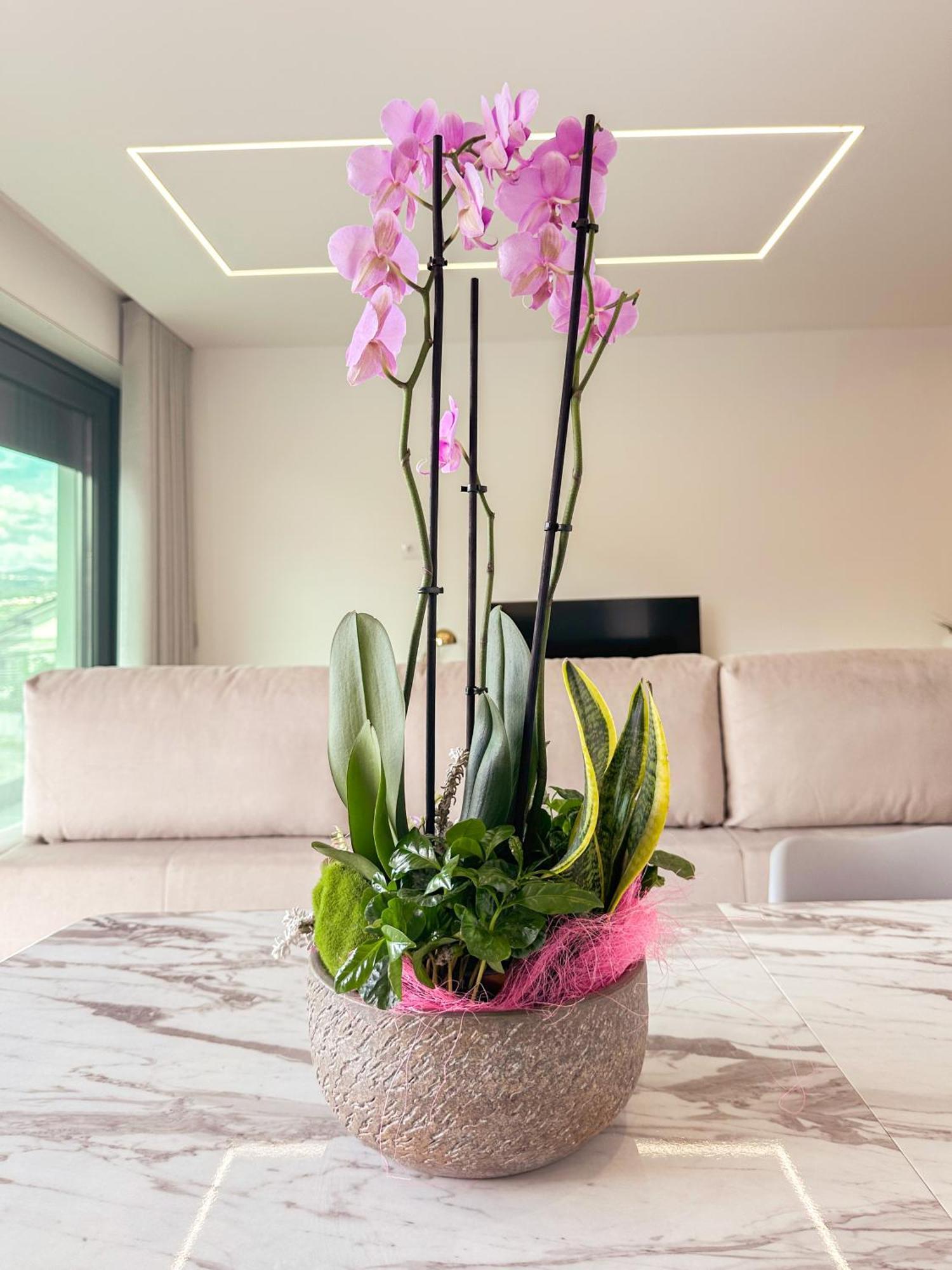 Flora Guest House Marco de Canavezes Εξωτερικό φωτογραφία